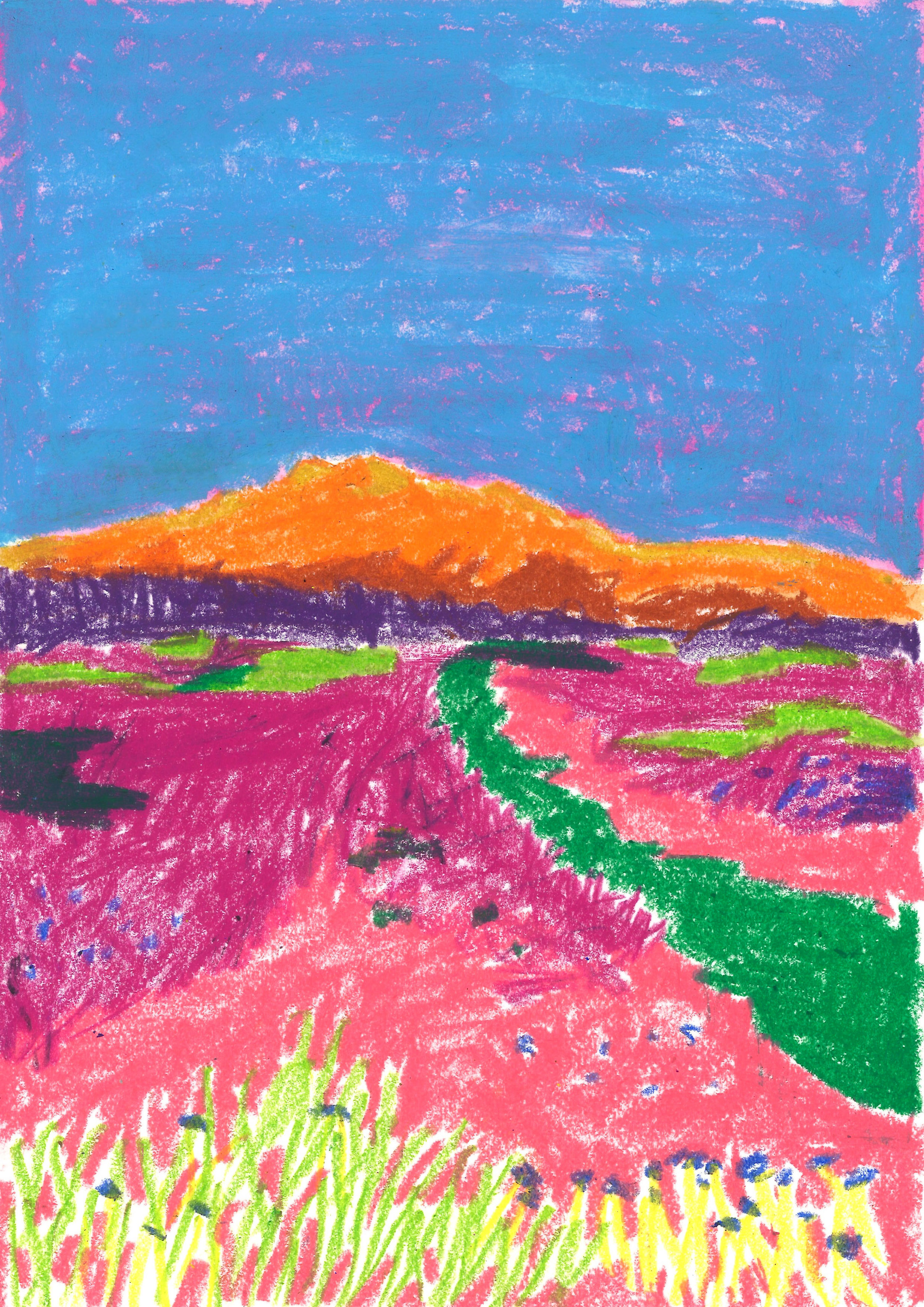 Bild 7
