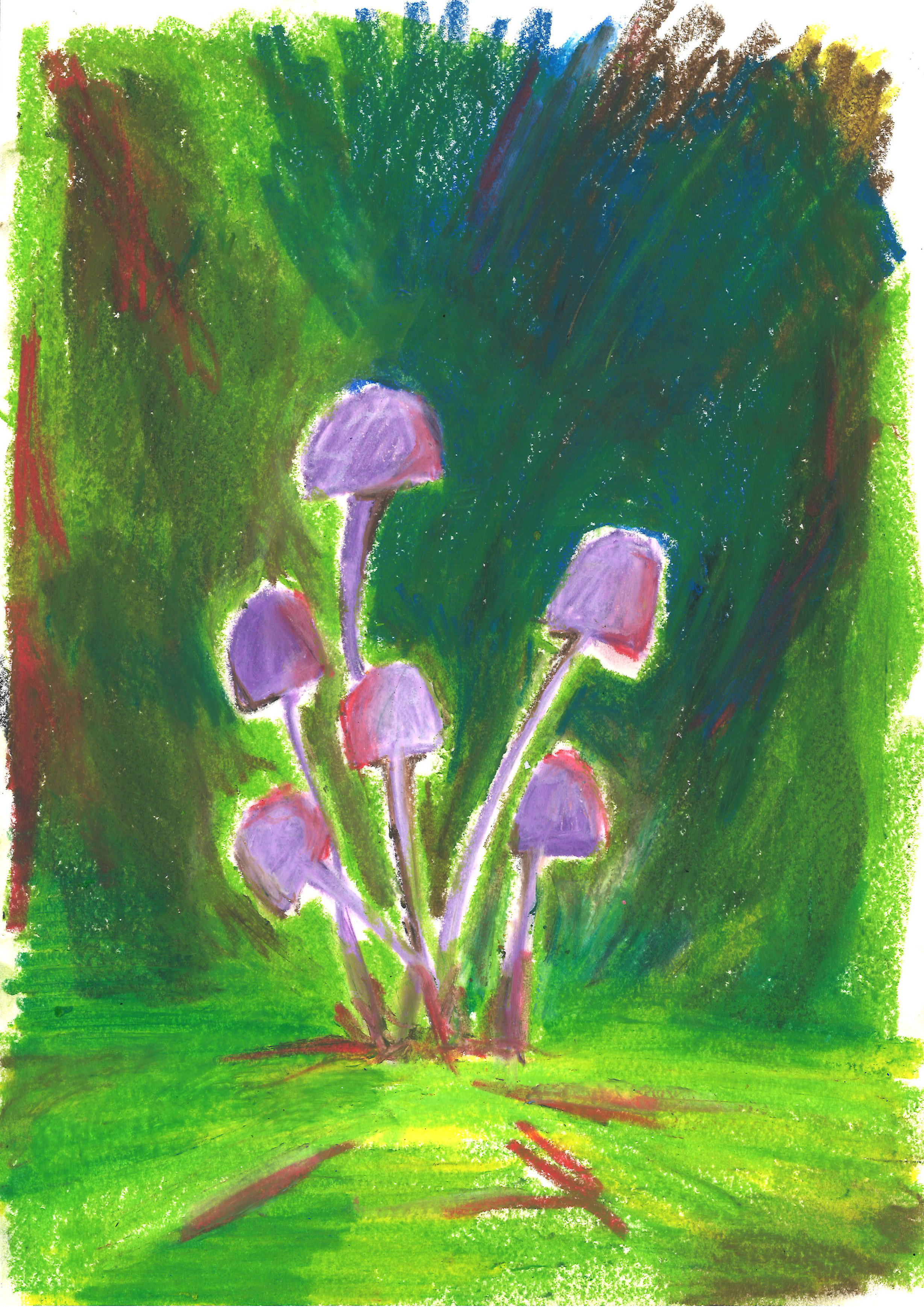 Bild 8